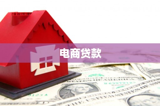 儋州电商贷款