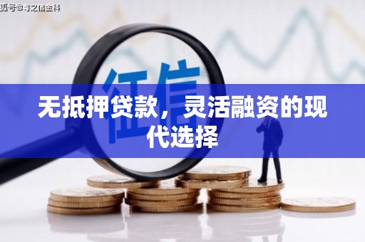 儋州无抵押贷款，灵活融资的现代选择
