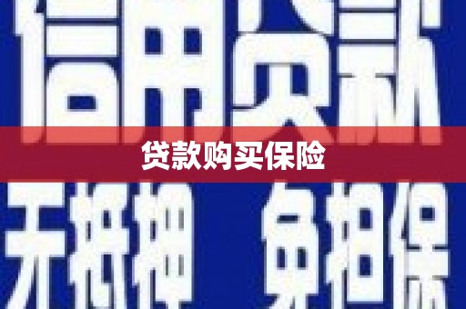 儋州贷款购买保险