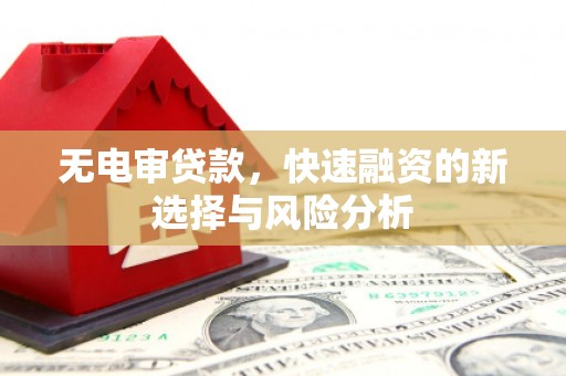 儋州无电审贷款，快速融资的新选择与风险分析
