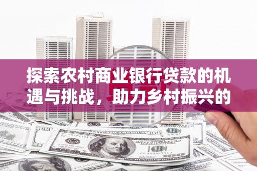 儋州探索农村商业银行贷款的机遇与挑战，助力乡村振兴的金融引擎
