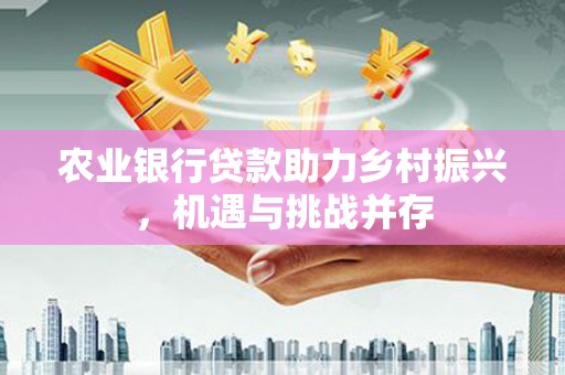 儋州农业银行贷款助力乡村振兴，机遇与挑战并存