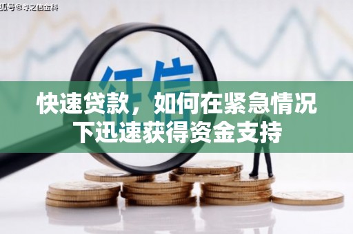 儋州快速贷款，如何在紧急情况下迅速获得资金支持
