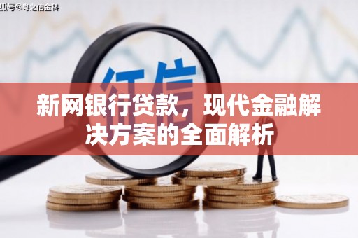 儋州新网银行贷款，现代金融解决方案的全面解析