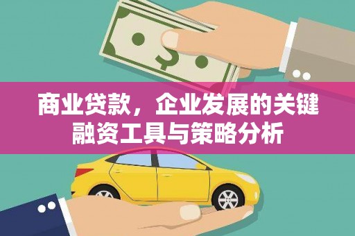 儋州商业贷款，企业发展的关键融资工具与策略分析