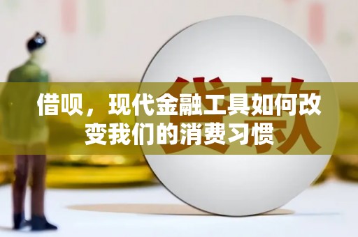 儋州借呗，现代金融工具如何改变我们的消费习惯