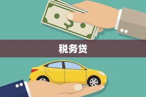 儋州税务贷