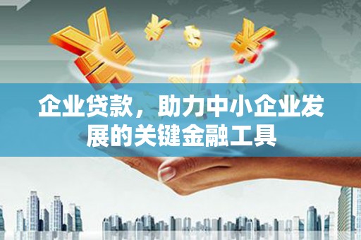 儋州企业贷款，助力中小企业发展的关键金融工具