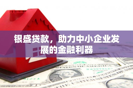 儋州银盛贷款，助力中小企业发展的金融利器
