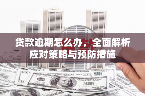 儋州贷款逾期怎么办，全面解析应对策略与预防措施