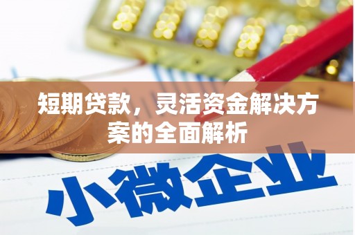 儋州短期贷款，灵活资金解决方案的全面解析