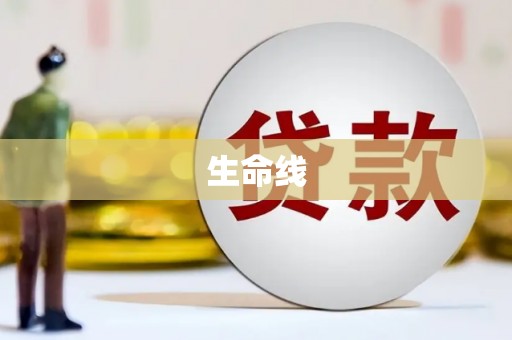 儋州生命线