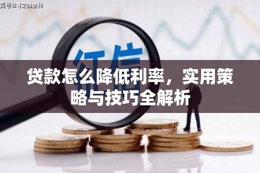儋州贷款怎么降低利率，实用策略与技巧全解析
