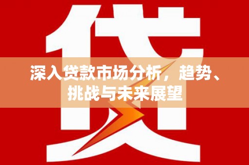 儋州深入贷款市场分析，趋势、挑战与未来展望
