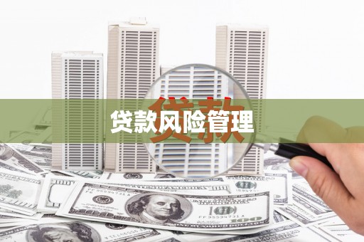 儋州贷款风险管理