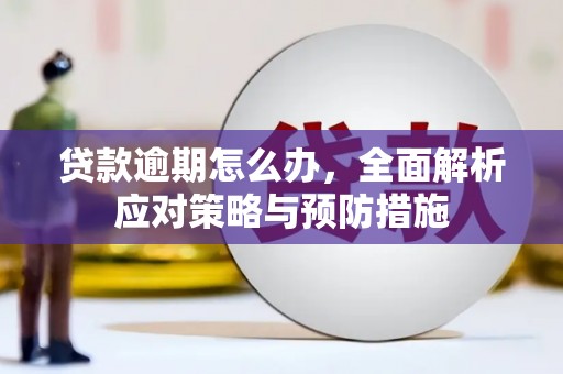 儋州贷款逾期怎么办，全面解析应对策略与预防措施