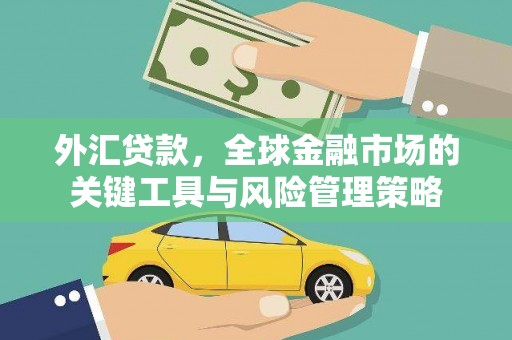 儋州外汇贷款，全球金融市场的关键工具与风险管理策略
