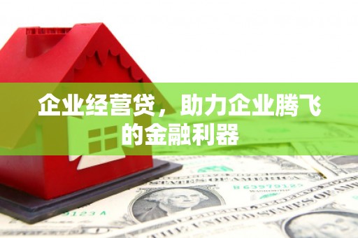 儋州企业经营贷，助力企业腾飞的金融利器