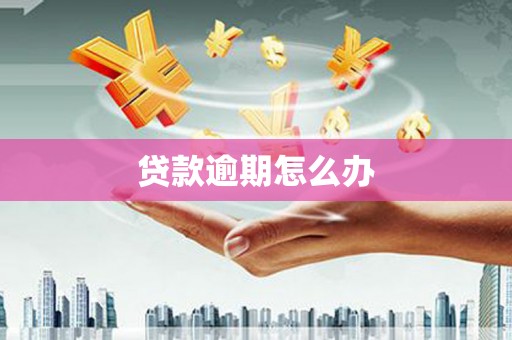 儋州贷款逾期怎么办