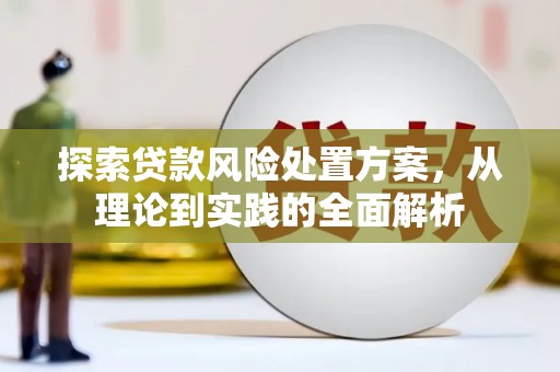 儋州探索贷款风险处置方案，从理论到实践的全面解析