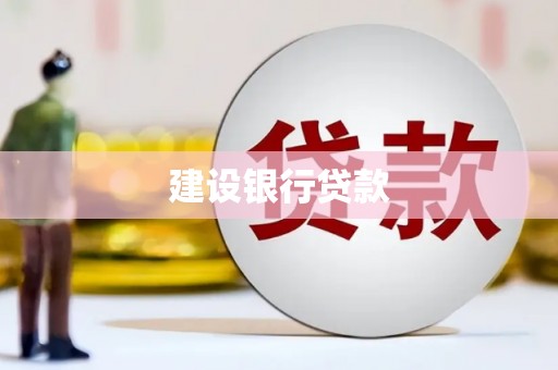 儋州建设银行贷款