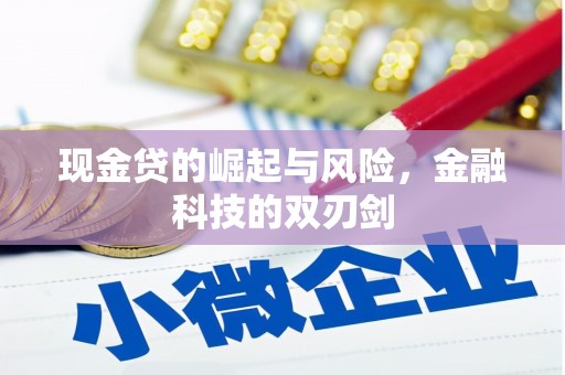 儋州现金贷的崛起与风险，金融科技的双刃剑