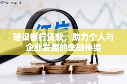 儋州建设银行贷款，助力个人与企业发展的金融桥梁