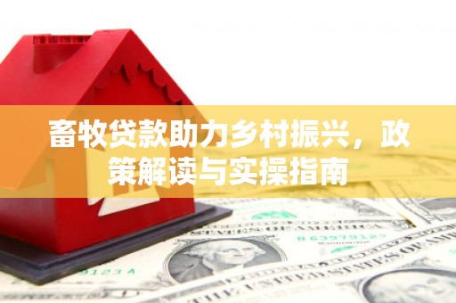 儋州畜牧贷款助力乡村振兴，政策解读与实操指南