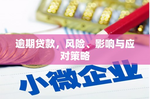 儋州逾期贷款，风险、影响与应对策略