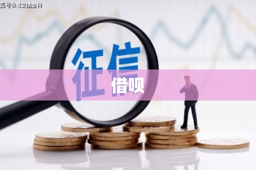 儋州借呗