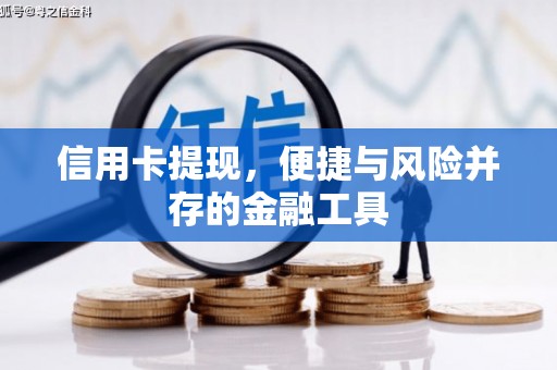 儋州信用卡提现，便捷与风险并存的金融工具