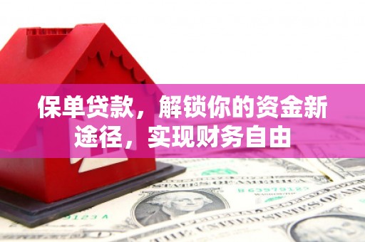 儋州保单贷款，解锁你的资金新途径，实现财务自由