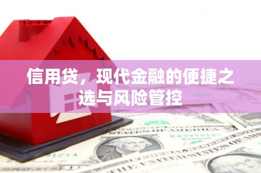 儋州信用贷，现代金融的便捷之选与风险管控