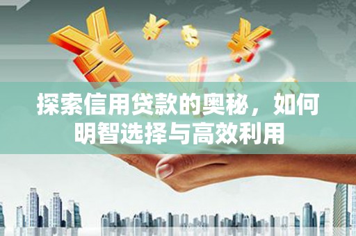 儋州探索信用贷款的奥秘，如何明智选择与高效利用