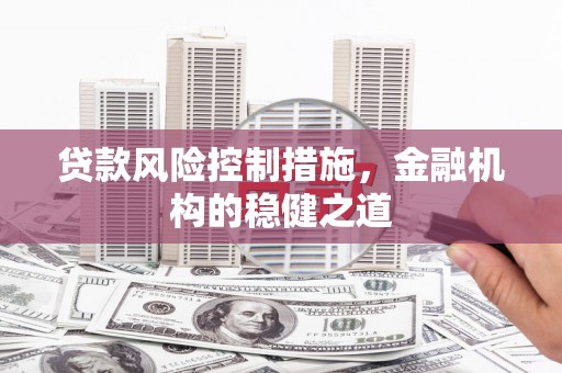 儋州贷款风险控制措施，金融机构的稳健之道