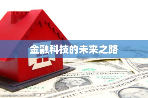 儋州金融科技的未来之路