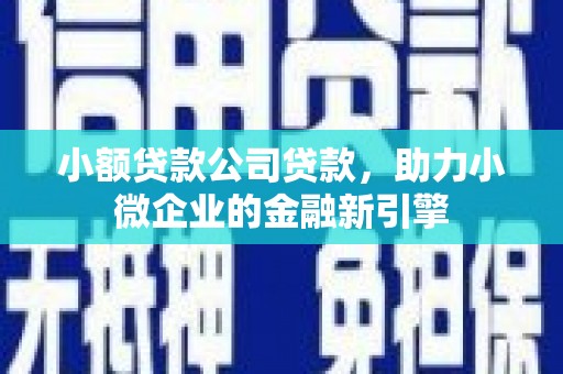 儋州小额贷款公司贷款，助力小微企业的金融新引擎
