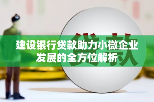 儋州建设银行贷款助力小微企业发展的全方位解析
