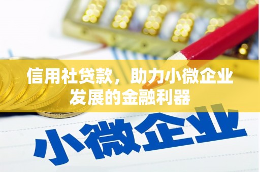 儋州信用社贷款，助力小微企业发展的金融利器