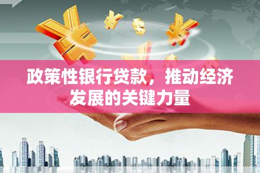 儋州政策性银行贷款，推动经济发展的关键力量