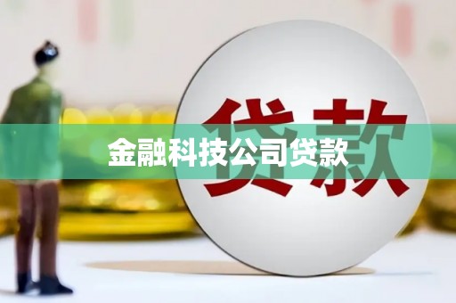 儋州金融科技公司贷款