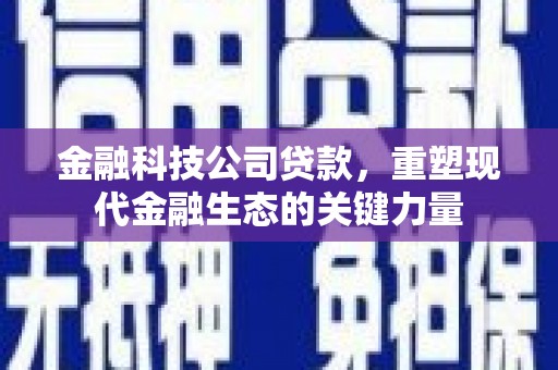 儋州金融科技公司贷款，重塑现代金融生态的关键力量