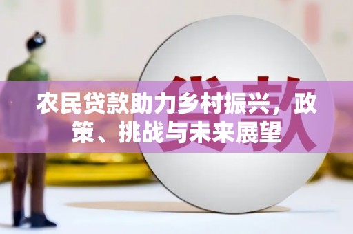 儋州农民贷款助力乡村振兴，政策、挑战与未来展望