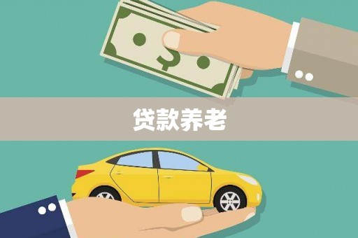 儋州贷款养老