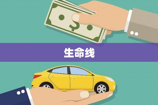 儋州生命线