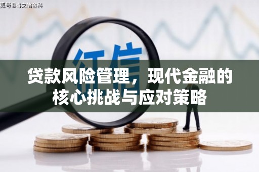 儋州贷款风险管理，现代金融的核心挑战与应对策略