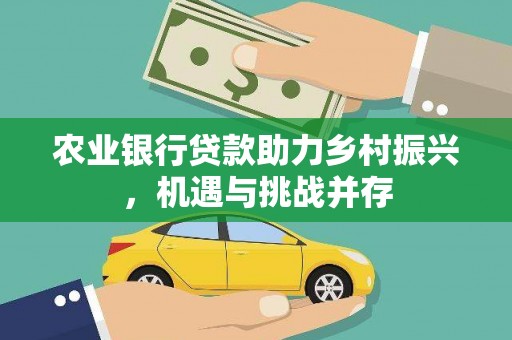 儋州农业银行贷款助力乡村振兴，机遇与挑战并存