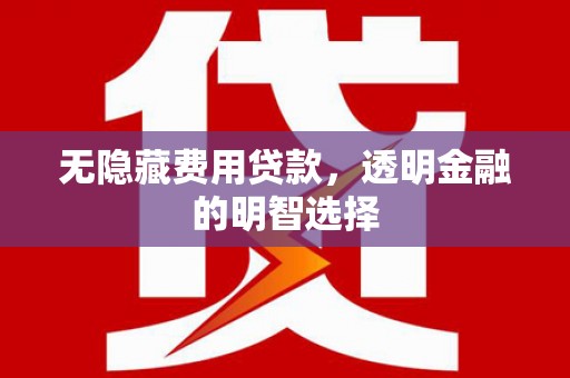 儋州无隐藏费用贷款，透明金融的明智选择