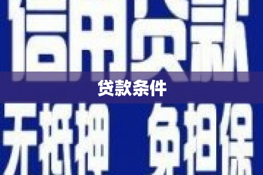 儋州贷款条件