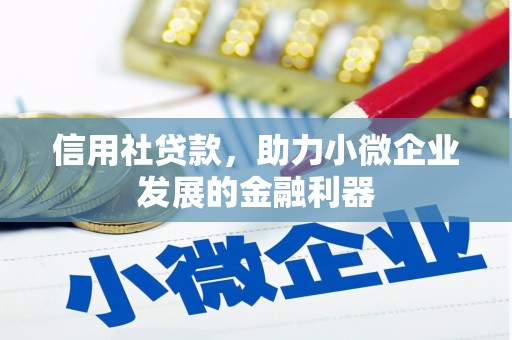 儋州信用社贷款，助力小微企业发展的金融利器